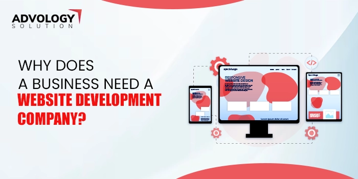 240822070846why-does-a-business-need-a-website-development-companywebp